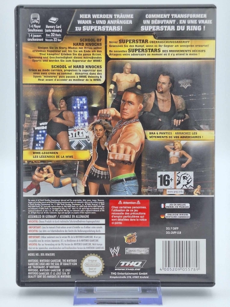 WWE: Day of Reckoning - ohne Anleitung